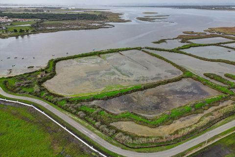 Helårsgrund i Montijo, Setubal, Montijo - € 195.000 | Ref: C0222-06769 - foto 10
