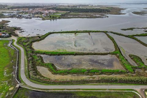 Helårsgrund i Montijo, Setubal, Montijo - € 195.000 | Ref: C0222-06769 - foto 14