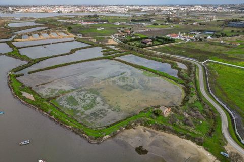 Helårsgrund i Montijo, Setubal, Montijo - € 195.000 | Ref: C0222-06769 - foto 15