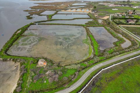 Helårsgrund i Montijo, Setubal, Montijo - € 195.000 | Ref: C0222-06769 - foto 17