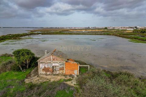 Helårsgrund i Montijo, Setubal, Montijo - € 195.000 | Ref: C0222-06769 - foto 25