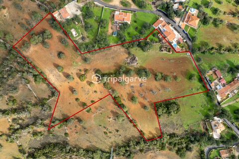 Helårsgrund i Albufeira, Faro, Albufeira - € 400.000 | Ref: TACM2538N - foto 1