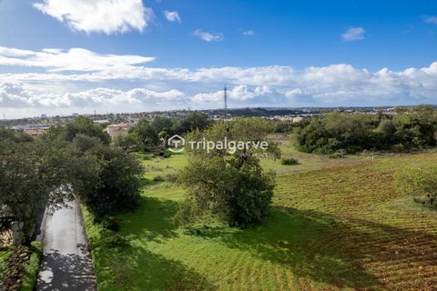 Helårsgrund i Albufeira, Faro, Albufeira - € 400.000 | Ref: TACM2538N - foto 2