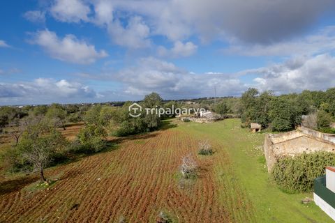 Helårsgrund i Albufeira, Faro, Albufeira - € 400.000 | Ref: TACM2538N - foto 3