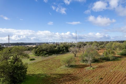 Helårsgrund i Albufeira, Faro, Albufeira - € 400.000 | Ref: TACM2538N - foto 4