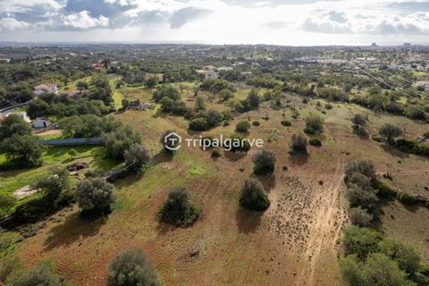 Helårsgrund i Albufeira, Faro, Albufeira - € 400.000 | Ref: TACM2538N - foto 5