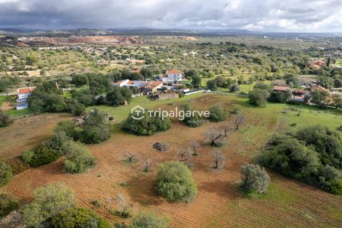 Helårsgrund i Albufeira, Faro, Albufeira - € 400.000 | Ref: TACM2538N - foto 6