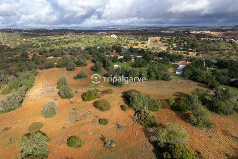 Helårsgrund i Albufeira, Faro, Albufeira - € 400.000 | Ref: TACM2538N - foto 7