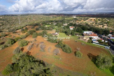 Helårsgrund i Albufeira, Faro, Albufeira - € 400.000 | Ref: TACM2538N - foto 8