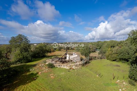 Helårsgrund i Albufeira, Faro, Albufeira - € 400.000 | Ref: TACM2538N - foto 9