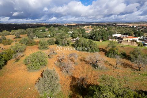Helårsgrund i Albufeira, Faro, Albufeira - € 400.000 | Ref: TACM2538N - foto 14