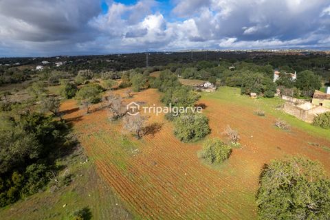 Helårsgrund i Albufeira, Faro, Albufeira - € 400.000 | Ref: TACM2538N - foto 16