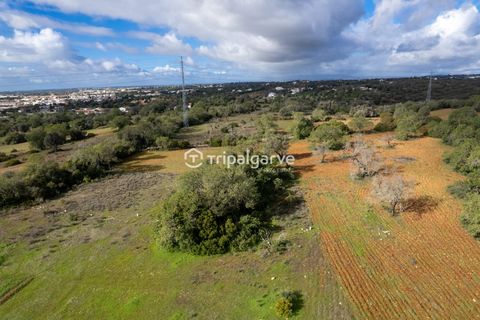 Helårsgrund i Albufeira, Faro, Albufeira - € 400.000 | Ref: TACM2538N - foto 17