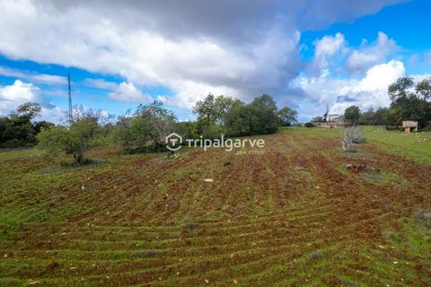 Helårsgrund i Albufeira, Faro, Albufeira - € 400.000 | Ref: TACM2538N - foto 18