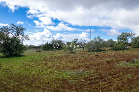 Helårsgrund i Albufeira, Faro, Albufeira - € 400.000 | Ref: TACM2538N - foto 19