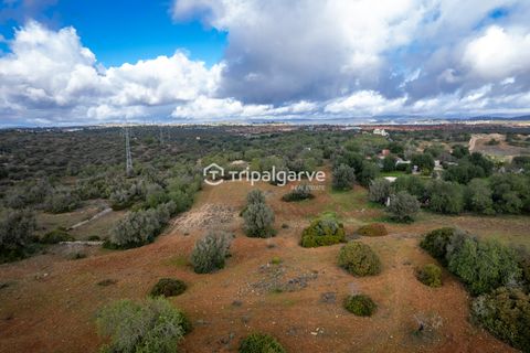 Helårsgrund i Albufeira, Faro, Albufeira - € 400.000 | Ref: TACM2538N - foto 21