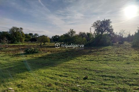 Helårsgrund i Albufeira, Faro, Albufeira - € 400.000 | Ref: TACM2538N - foto 22