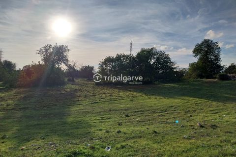 Helårsgrund i Albufeira, Faro, Albufeira - € 400.000 | Ref: TACM2538N - foto 23