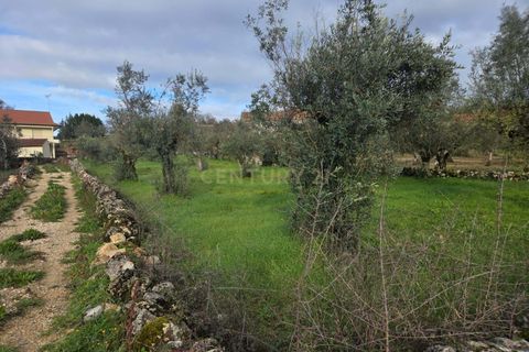 Helårsgrund i Ansiao, Leiria, Ansiao - € 22.000 | Ref: C0381-00860 - foto 3