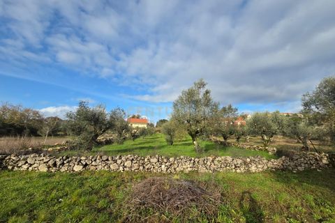 Helårsgrund i Ansiao, Leiria, Ansiao - € 22.000 | Ref: C0381-00860 - foto 4