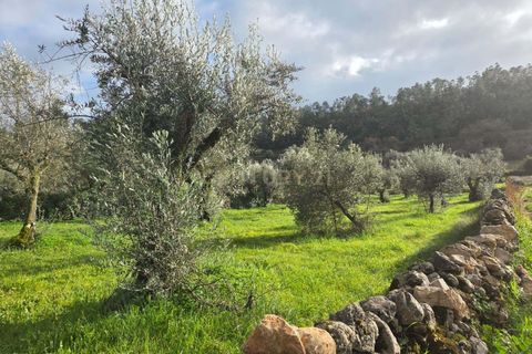 Helårsgrund i Ansiao, Leiria, Ansiao - € 22.000 | Ref: C0381-00860 - foto 5