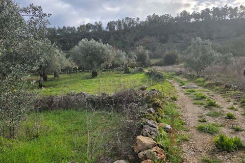 Helårsgrund i Ansiao, Leiria, Ansiao - € 22.000 | Ref: C0381-00860 - foto 6
