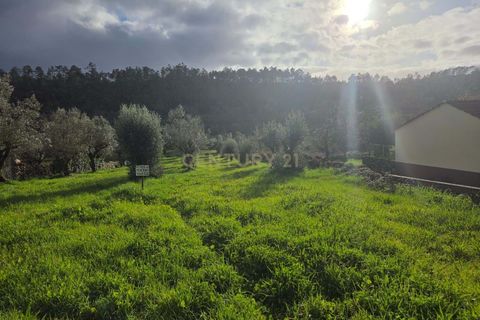Helårsgrund i Ansiao, Leiria, Ansiao - € 22.000 | Ref: C0381-00860 - foto 9