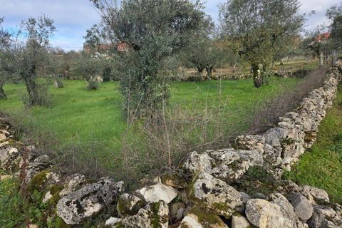 Helårsgrund i Ansiao, Leiria, Ansiao - € 22.000 | Ref: C0381-00860 - foto 11