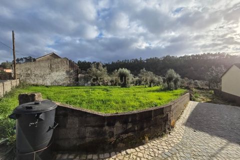 Helårsgrund i Ansiao, Leiria, Ansiao - € 22.000 | Ref: C0381-00860 - foto 12