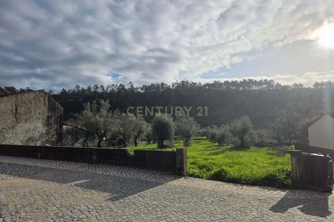 Helårsgrund i Ansiao, Leiria, Ansiao - € 22.000 | Ref: C0381-00860 - foto 13