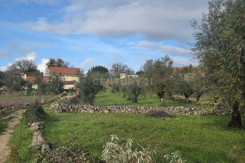 Helårsgrund i Ansiao, Leiria, Ansiao - € 22.000 | Ref: C0381-00860 - foto 14