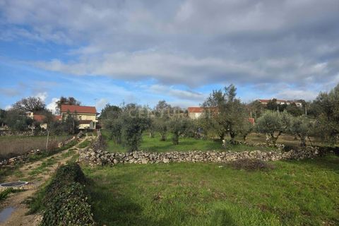 Helårsgrund i Ansiao, Leiria, Ansiao - € 22.000 | Ref: C0381-00860 - foto 15