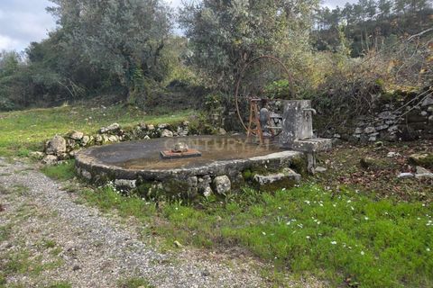 Helårsgrund i Ansiao, Leiria, Ansiao - € 22.000 | Ref: C0381-00860 - foto 18