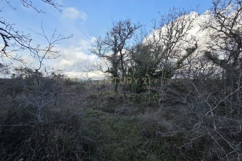 Helårsgrund i Ansiao, Leiria, Ansiao - € 28.000 | Ref: C0381-00861 - foto 2