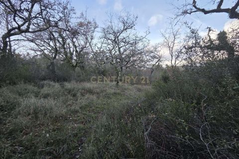 Helårsgrund i Ansiao, Leiria, Ansiao - € 28.000 | Ref: C0381-00861 - foto 3