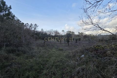 Helårsgrund i Ansiao, Leiria, Ansiao - € 28.000 | Ref: C0381-00861 - foto 4