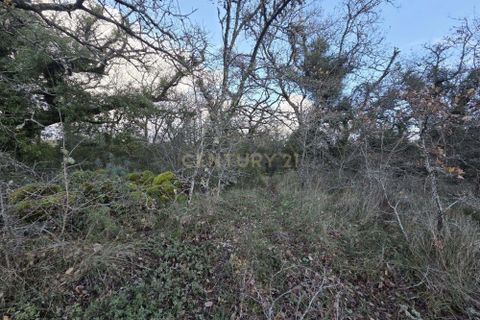 Helårsgrund i Ansiao, Leiria, Ansiao - € 28.000 | Ref: C0381-00861 - foto 6