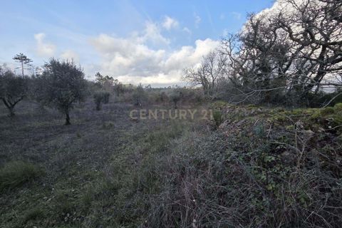 Helårsgrund i Ansiao, Leiria, Ansiao - € 28.000 | Ref: C0381-00861 - foto 7