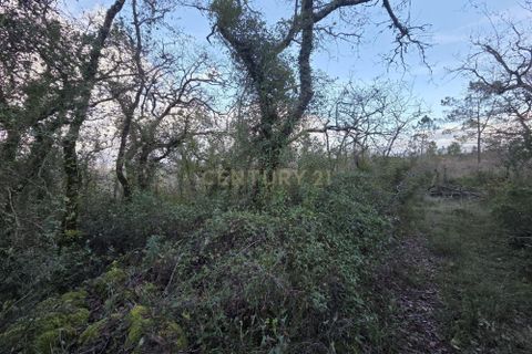 Helårsgrund i Ansiao, Leiria, Ansiao - € 28.000 | Ref: C0381-00861 - foto 8