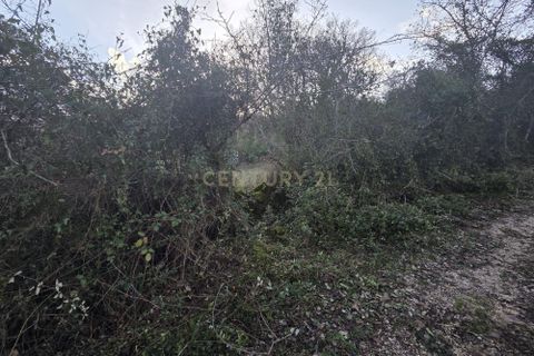Helårsgrund i Ansiao, Leiria, Ansiao - € 28.000 | Ref: C0381-00861 - foto 9