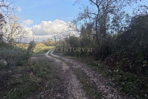 Helårsgrund i Ansiao, Leiria, Ansiao - € 28.000 | Ref: C0381-00861 - foto 11