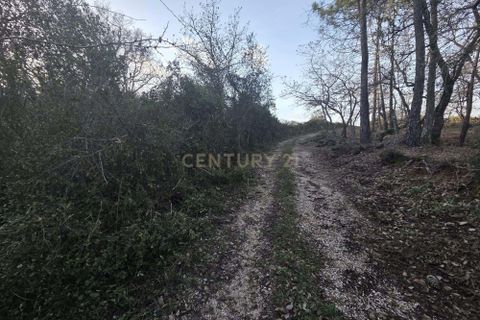 Helårsgrund i Ansiao, Leiria, Ansiao - € 28.000 | Ref: C0381-00861 - foto 12