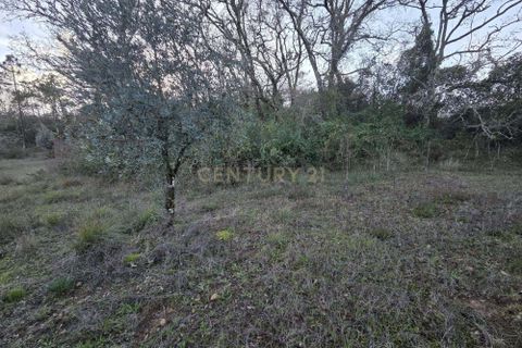 Helårsgrund i Ansiao, Leiria, Ansiao - € 28.000 | Ref: C0381-00861 - foto 14