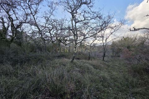 Helårsgrund i Ansiao, Leiria, Ansiao - € 28.000 | Ref: C0381-00861 - foto 15