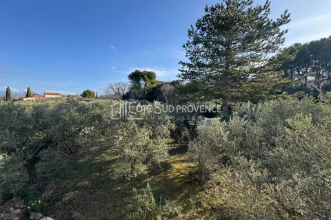 Villa i La Roque-sur-Pernes, Vaucluse, La Roque-sur-Pernes - € 735.000 | Ref: 1534 PA - foto 47
