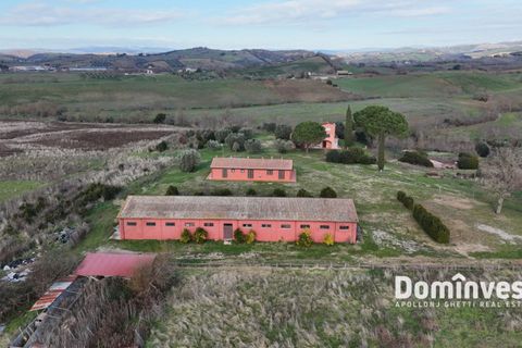 Landejendom i Capalbio, Grosseto, Capalbio - € 9.000.000 | Ref: v-237 - foto 12