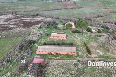Landejendom i Capalbio, Grosseto, Capalbio - € 9.000.000 | Ref: v-237 - foto 13