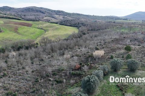 Landejendom i Capalbio, Grosseto, Capalbio - € 9.000.000 | Ref: v-237 - foto 15