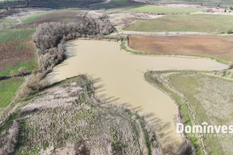 Landejendom i Capalbio, Grosseto, Capalbio - € 9.000.000 | Ref: v-237 - foto 25