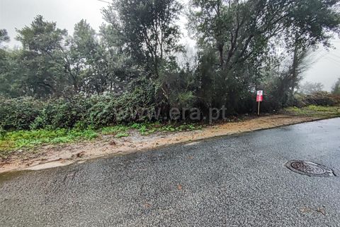 Helårsgrund i Barcelos, Braga, Barcelos - € 90.000 | Ref: 254260450 - foto 2
